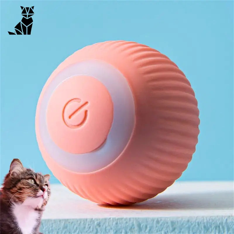 La balle magic pour chat | MagicBall™