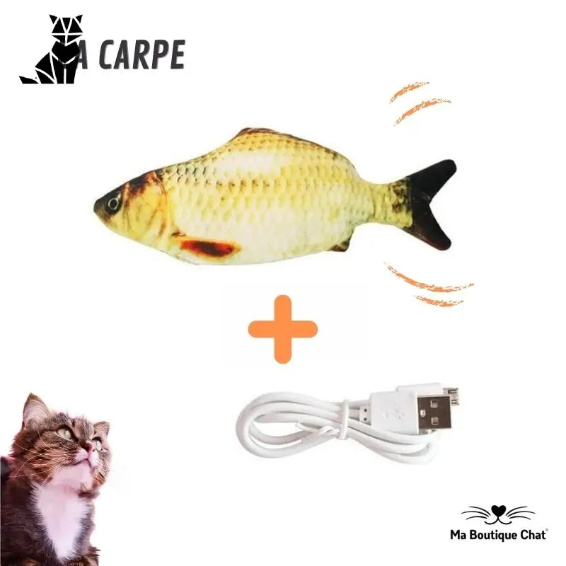 Poisson pour chat | CatsFish™