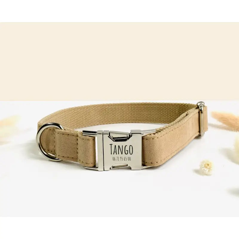 Kit Complet Chien Personnalisé Coton Beige