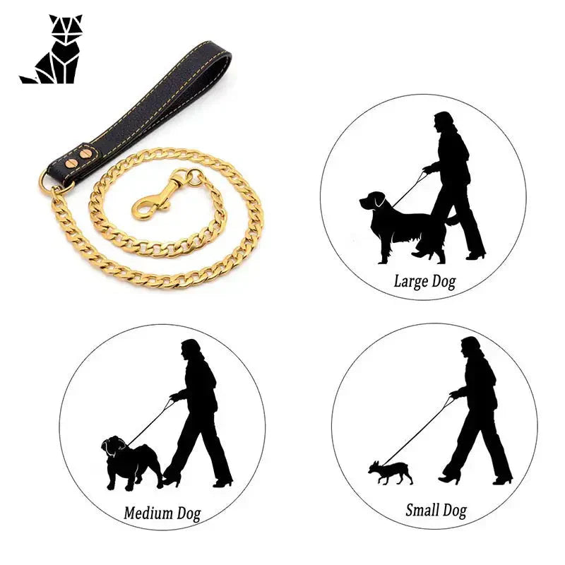 Collier pour chien en chaîne dorée - Chaîne Dorée Acier, sur la laisse en chaîne dorée pour chien