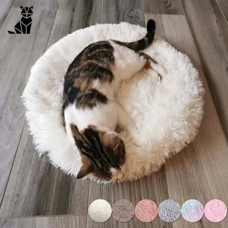 Chat gris dormant dans un lit rond sur un tapis cercle blanc et rose pour petits animaux