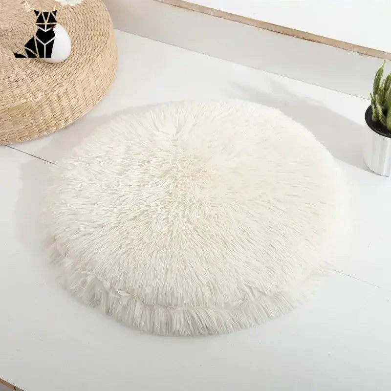 Lit rond doux pour petits animaux sur tapis et table blanche