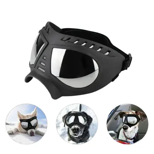 Gros plan : Chien portant des lunettes et un casque, montrant l’ajustement et le confort des lunettes de soleil pour chiens Transparent Background