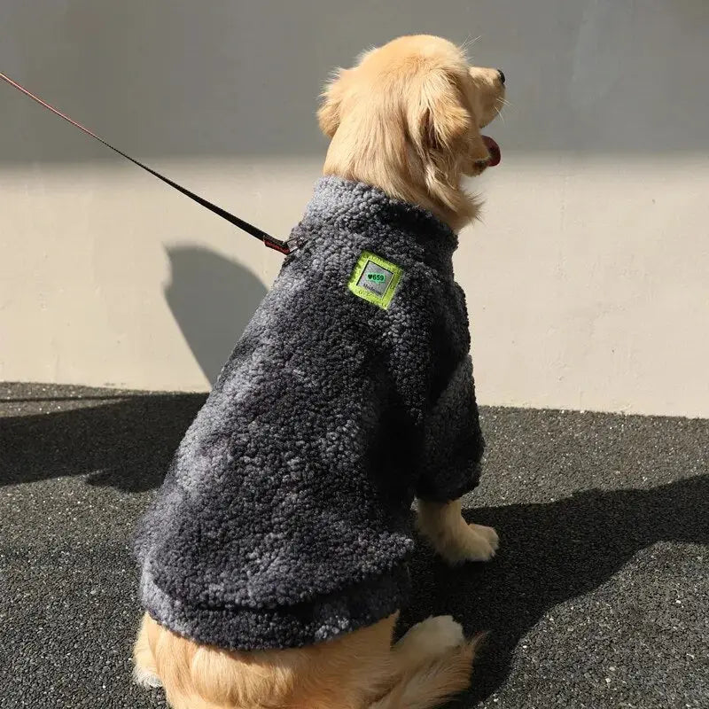 Grand chien dans un pull en laine gris avec une étiquette verte, avec la mention Manteau d’hiver chaud pour chiens