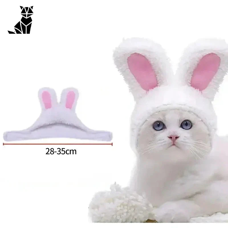 Chat blanc aux oreilles roses coiffé d’un bonnet de lapin en velours corail, modèle Soft Coral Velvet Cat Coat