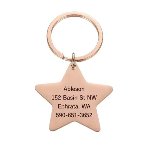 Médaille Personnalisable Pour Collier Chat Et Chien Transparent Background