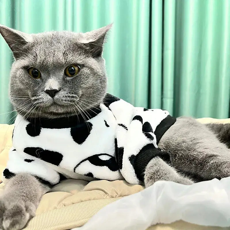 Chat en costume de vache bénéficiant du ’pull douillet pour chats’ : Tissu de qualité supérieure et chaleur