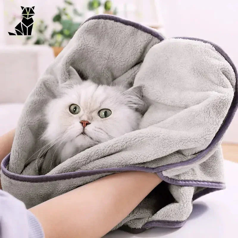 Chat enveloppé dans Quick Drying Towel for Cats - séchage rapide serviette