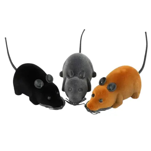 Souris Télécommandée: Le Joujou Interactif Parfait Pour Votre Chat! Transparent Background