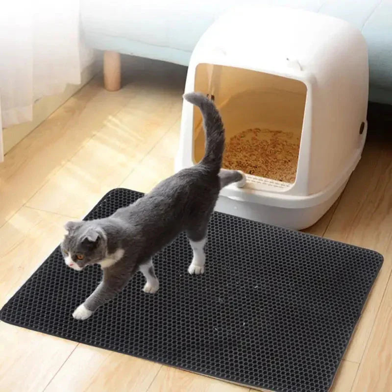 Un chat se promenant sur un tapis de litière anti-éclaboussures dans le salon, une solution contre la litière partout