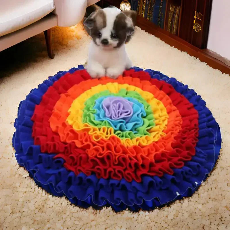 Petit chien assis sur un coussin arc-en-ciel - Tapis de sensibilisation à l’olfaction pour chiens - Recherche Alimentaire Tapis