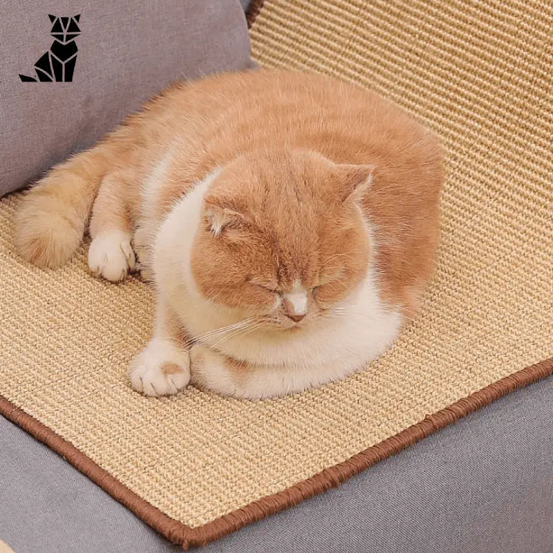 Tapis à gratter de luxe : Chat dormant sur le canapé à côté du tapis griffoir