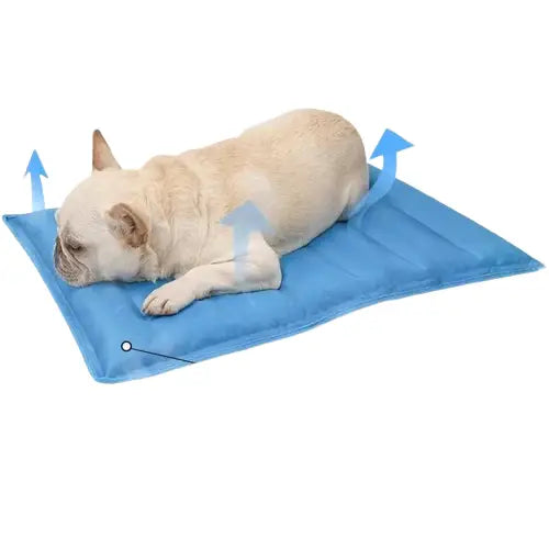 Non-Toxic Gel Dog Cooling Mat - chien gel tapis rafraîchissant avec chien couché sur couverture bleue avec flocons de neige Transparent Background