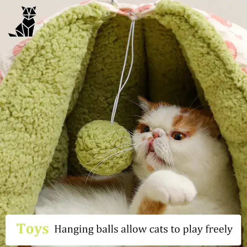 Chat jouant avec une balle dans une tente au design unique pour le repos des félins